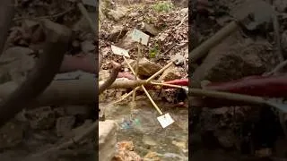 Thumbnail: chicken on a generator #outdoors