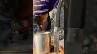 Thumbnail: I just wanted some coffee. #beach