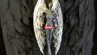 Thumbnail: What happens to Waste materials