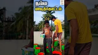 Thumbnail: மாடித்தோட்டம் பராமரிப்பு 🌱 | Terrace Garden Maintenance | Grow Bag Gardening 🌿 #Shorts