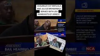 Thumbnail: iCLEARLY JULIUS MKHWANAZI AND VUSI MATLALA ARE STILL GOING TO STAY IN PRISON #madlangacommission