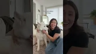 Thumbnail: and thats on owning a husky 😂