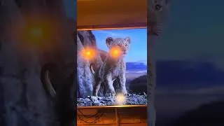 Thumbnail: The Lion King Remake Blew Alyssa Marie Away!