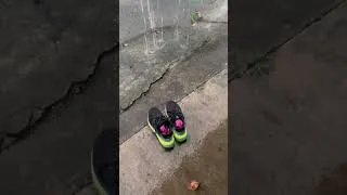 Thumbnail: LSD stopped by heavy rain | #runwithjc #youtube #shorts