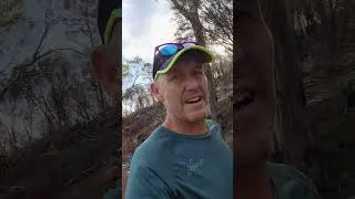 Thumbnail: parkrun in Hobart & Salamanca Markets