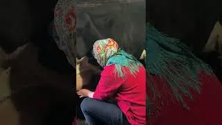 Thumbnail: 👉 Village Life – The Process of Milking a Cow