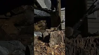 Thumbnail: chopping Firewood #shorts