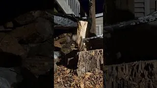 Thumbnail: Chopping Firewood #Shorts