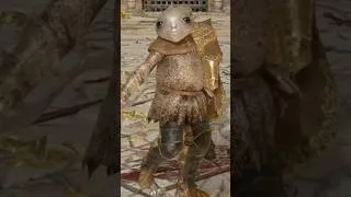 Thumbnail: The BEST Fashion in Elden Ring | Runway Edition  #eldenring #fashion #meme #darksouls #parry
