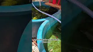 Thumbnail: Why I Replaced Glass Aquariums With Plastic Tanks