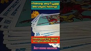 Thumbnail: അവരുടെ feelings tatot reading malayalam
