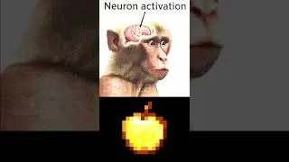 Thumbnail: Myrtle (Arknights) Neuron Activation Meme