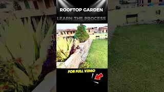 Thumbnail: Build a Rooftop Garden in Simple Steps! 🌱 #shorts
