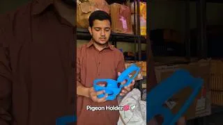 Thumbnail: Pigeon Holder Now Available 😍 #kabootar #shorts 🕊