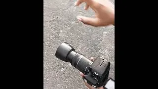 Thumbnail: Canon Lens 55-250mm: The Ultimate Photoshoot Poses!#viralvideo  #tutorial