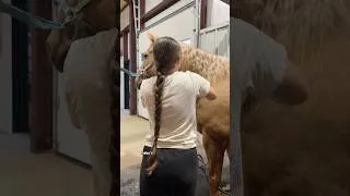 Thumbnail: Horse Hair Care Routine! #horses #haircare #equestrian #barrelracing #vlog