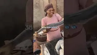 Thumbnail: Located at turntable contact: +220 389 4765