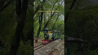 Thumbnail: Mumbai's Biggest Hidden Jungle? 🌿😱 | Sanjay Gandhi National Park #youtubeshorts #nationalpark #rain