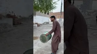 Thumbnail: Alex threw the lion drum into the air #reels #short #animals #pets #trendingshorts