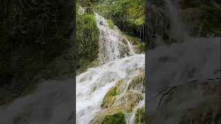 Thumbnail: Silent Conversation 🎵 | Beautiful Nature Scenery 🌿 | Relaxing Nature Shorts