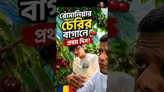 Thumbnail: রোমানিয়ার চেরির বাগানে প্রথম দিন #shorts