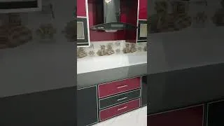Thumbnail: modular kitchen design #kitchen #kitchendesign
