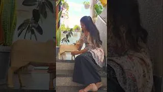 Thumbnail: kamadhenu / diy lippan art