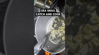 Thumbnail: Kupe’e (Sea Snail) catch and cook! #fishing #foraging #hawaii #snail #foodie