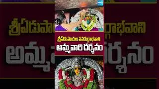 Thumbnail: 06.09.26 శ్రీ ఏడుపాయల వనదుర్గాభవాని అమ్మవారి హారతి #edupayalatemple