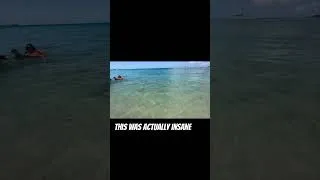 Thumbnail: Predator fish chasing bait fish on shore! #papio #Oama #hawaii #hawaiifishing