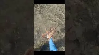 Thumbnail: Went out fishing, came back with tako! #hawaii #tako #octopus