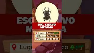 Thumbnail: TODOS LOS BICHOS QUE LLEGAN Y SE VAN EN AGOSTO EN ANIMAL CROSSING NEW HORIZONS