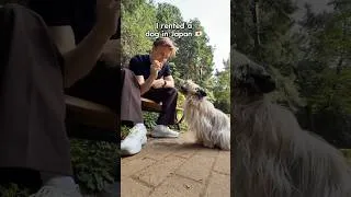 Thumbnail: You can rent a DOG in Japan?? 🇯🇵🐕