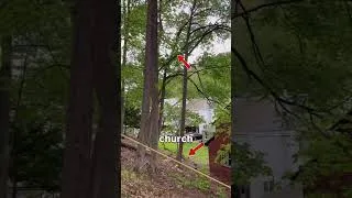 Thumbnail: Got some trees taken out.. what should we do with this space?! #beforeandafter #work #tree #live