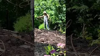 Thumbnail: Garden Drip Irrigation for Automatic Watering #gardeningtips #gardening #garden #dripirrigation