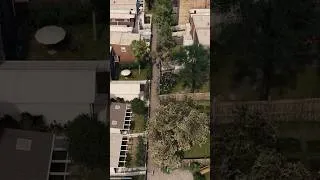Thumbnail: Sidewalk Ballet: Merriman's Walk