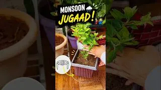 Thumbnail: Planter Stand Hack 🌿 Make Balcony Cleaning Easy!#MonsoonJugaad #PlanterStand #BalconyGarden #Shorts