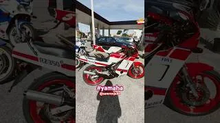 Thumbnail: Red is the Color of passion!#yamaha #TZR500 #YZR500 #rd350 #racing #2stroke