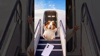 Thumbnail: Samsung Care+ | Galaxy Z Fold8 | Samsung