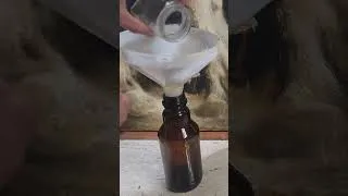 Thumbnail: Filtering dammar into amber glass