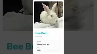 Thumbnail: Trying to Market Pets but They All Have Funky Names