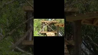 Thumbnail: Longleat Wildlife Park Day 2!