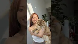 Thumbnail: hair transformation ft. moose 🧡