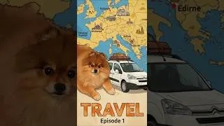 Thumbnail: from Turkey to Europe with dog
