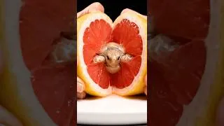 Thumbnail: What`s Hiding Inside These Fruits?!