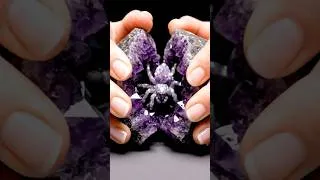 Thumbnail: What’s hiding inside this gemstone?