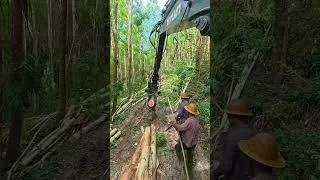 Thumbnail: Excavator POV#satisfying #satisfyingvideo #pov