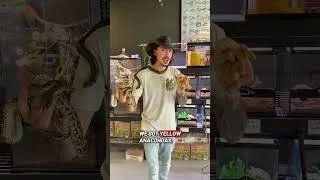 Thumbnail: Monsters of god? #reptile #anaconda #python #scary #giant