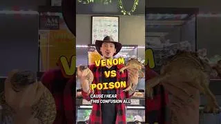 Thumbnail: Did yall know? #reptiles #Venom #venomous #poison #danger #dangerous