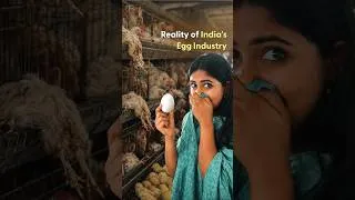 Thumbnail: India's Egg Industry Has A Dirty Secret